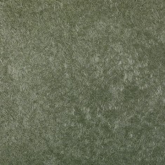 Біопласт 2010 рідкі шпалери, зелені, шовк