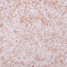 Биопласт 968 жидкие обои, коричневые, шёлк